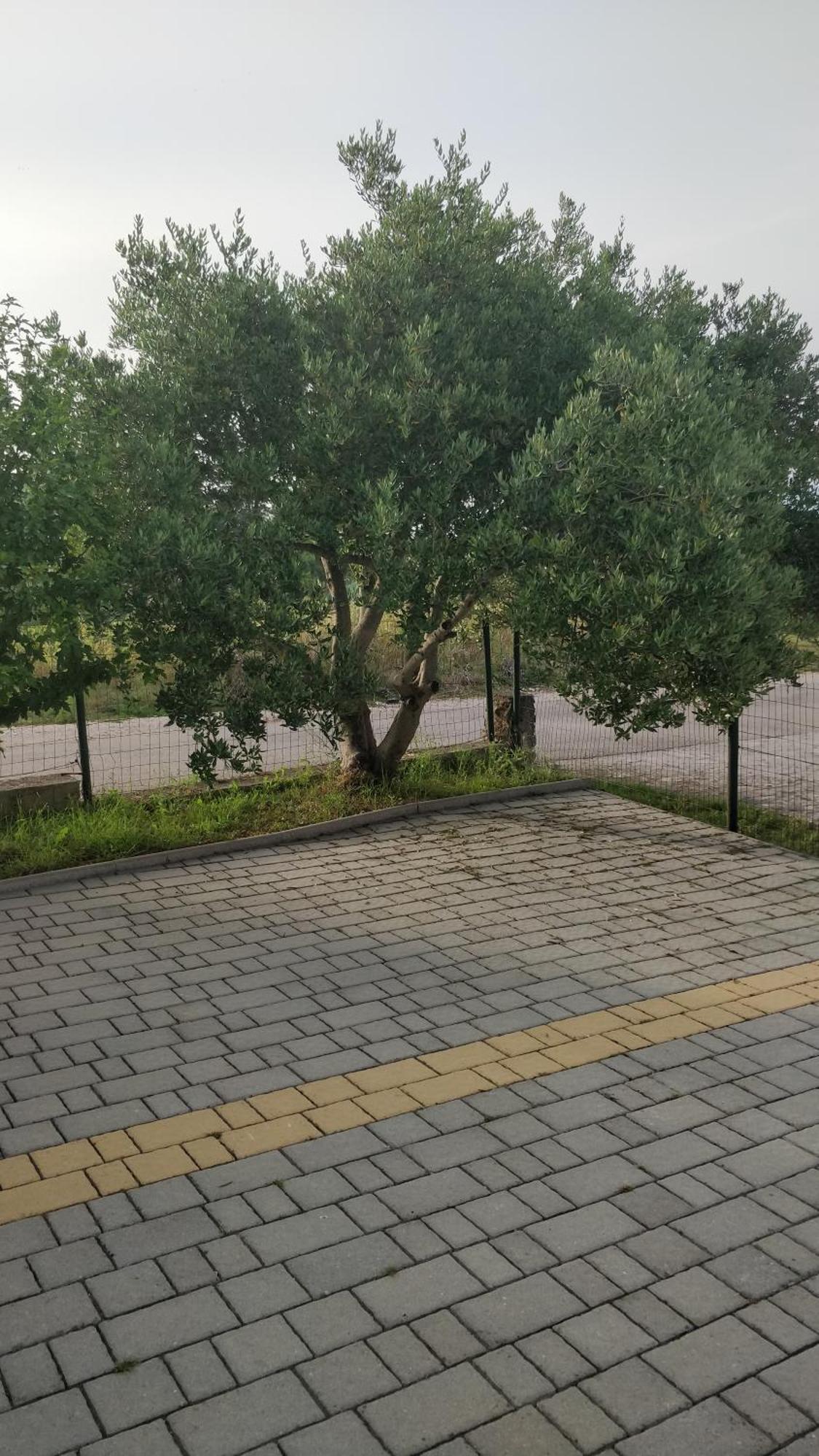 Apartment Lavinia Задар Екстериор снимка